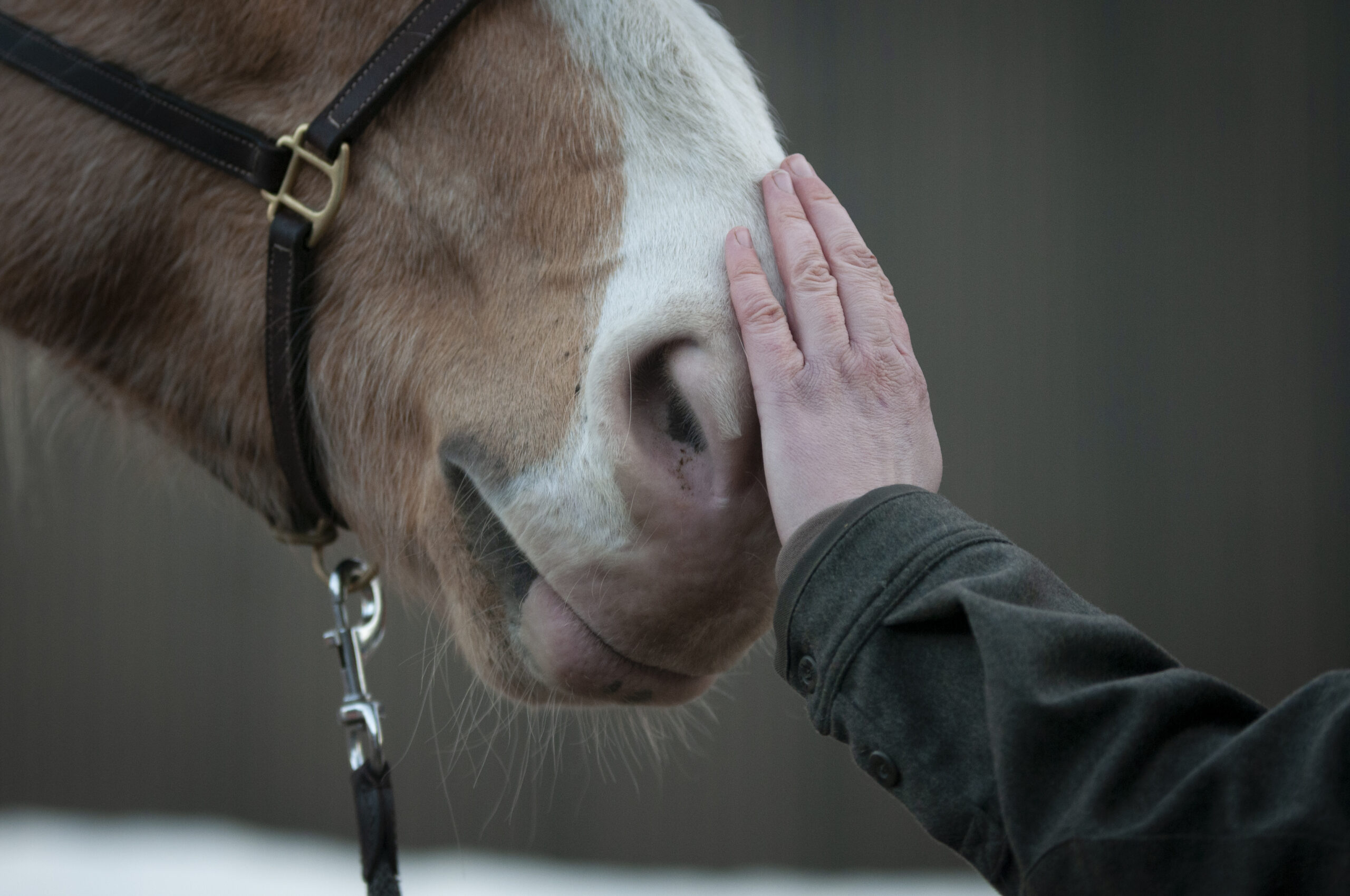 Årsmötekonferens 2026, Tema: Samarbete