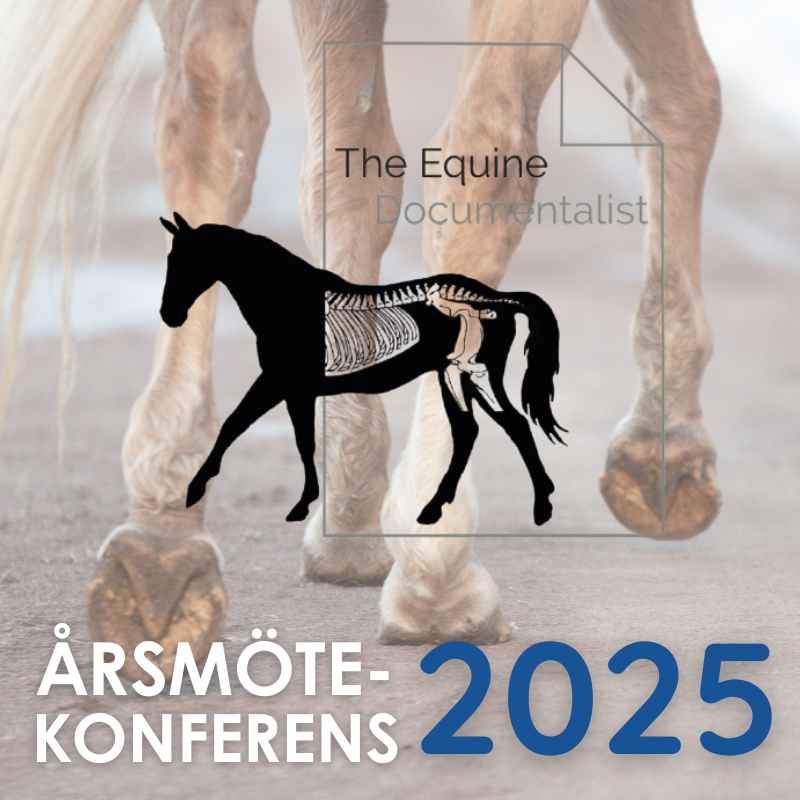 Årsmötekonferens én dag 2025 - medlemspris
