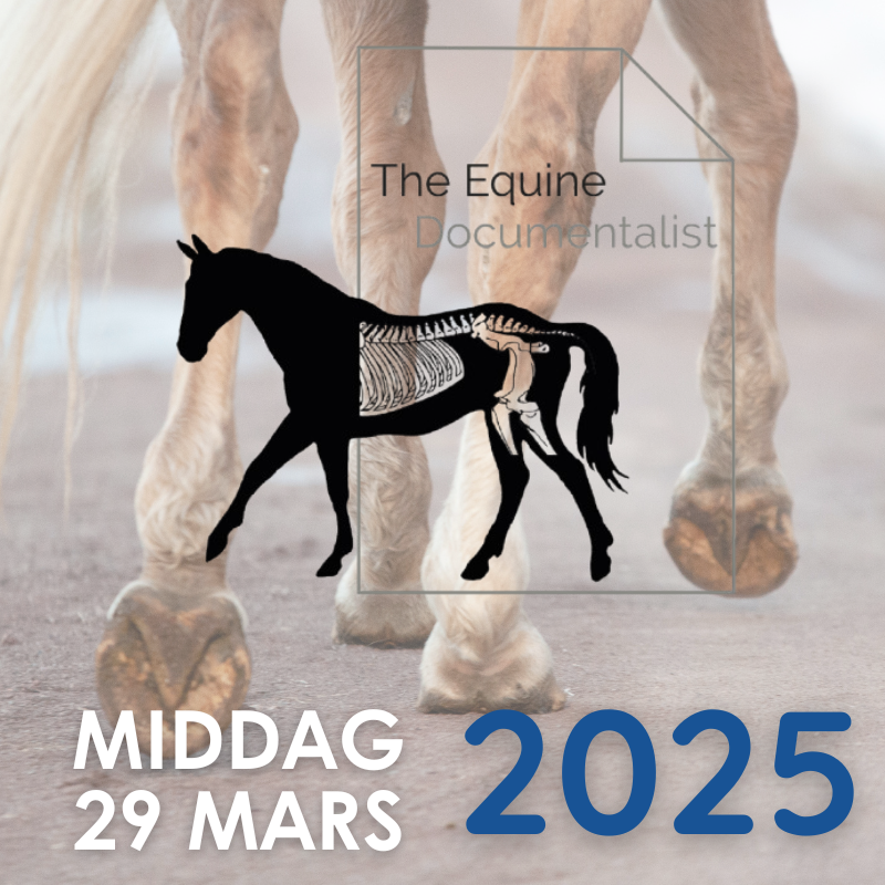 Middag lördag kväll (på årsmötekonferensen 2025)