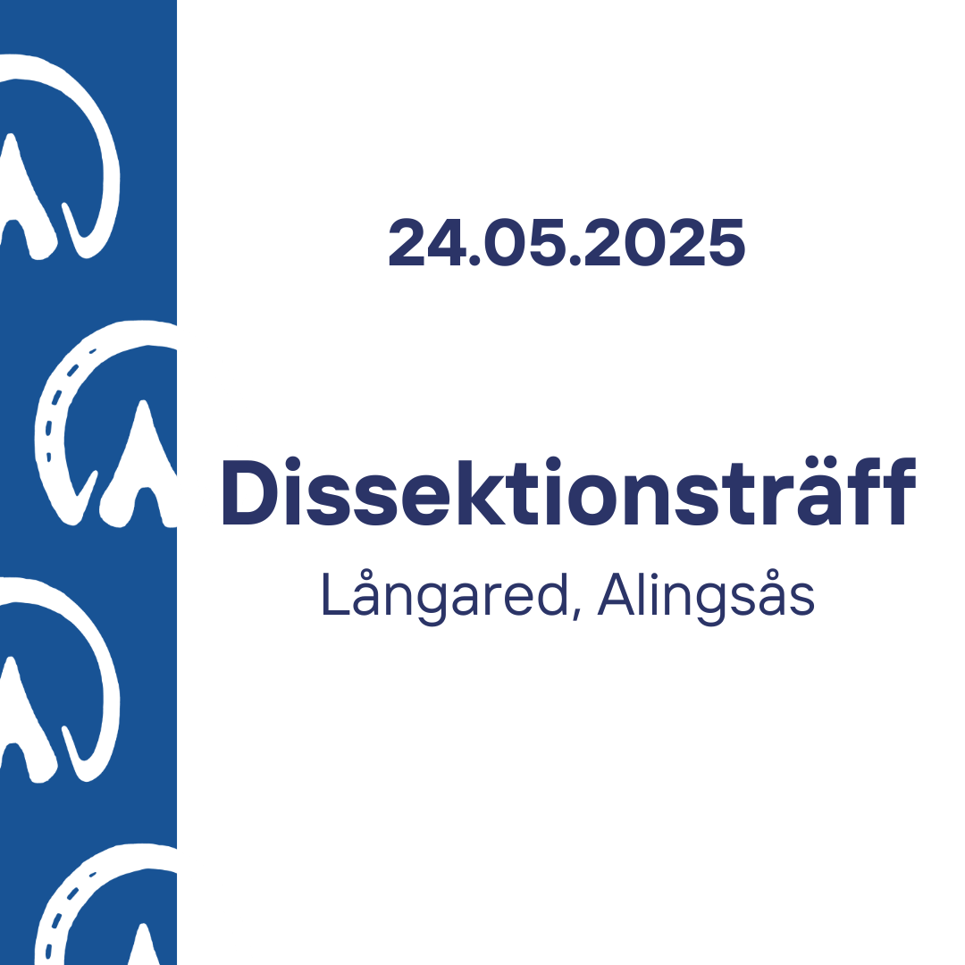 Dissektionsträff