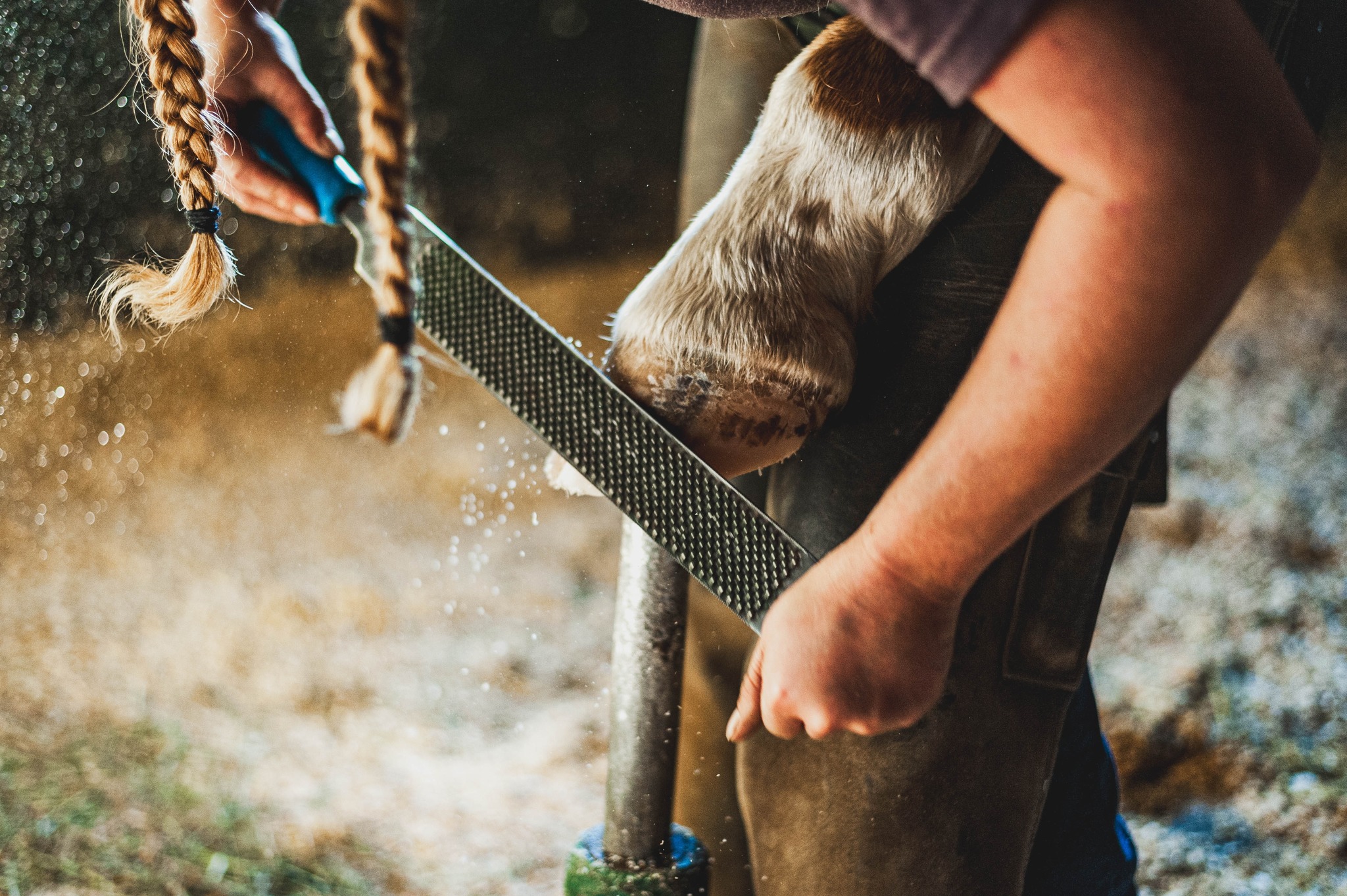 Höstkonferens och SM 2025 – flyttas till 2026